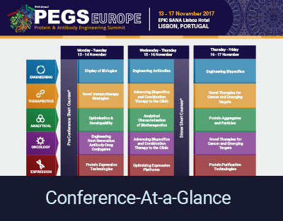 2017 Conference at a Glance